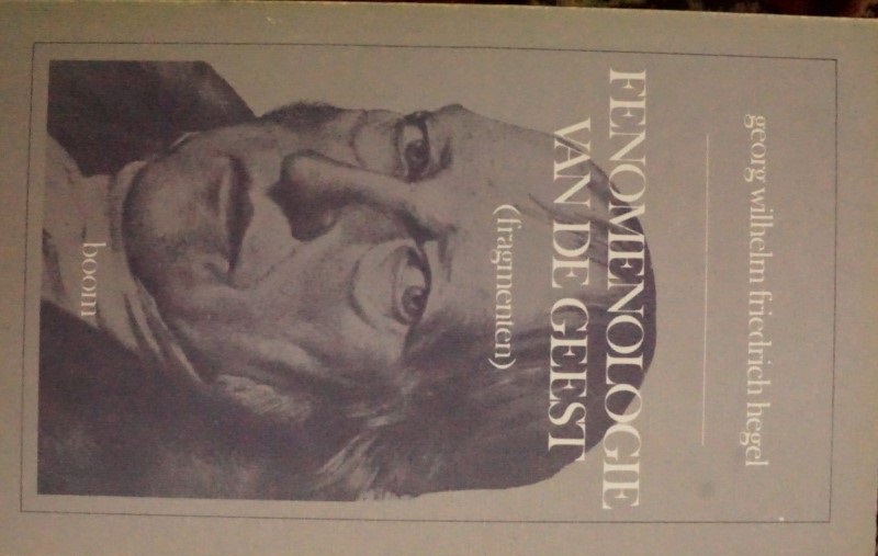Fenemonologie van de geest (fragmenten)