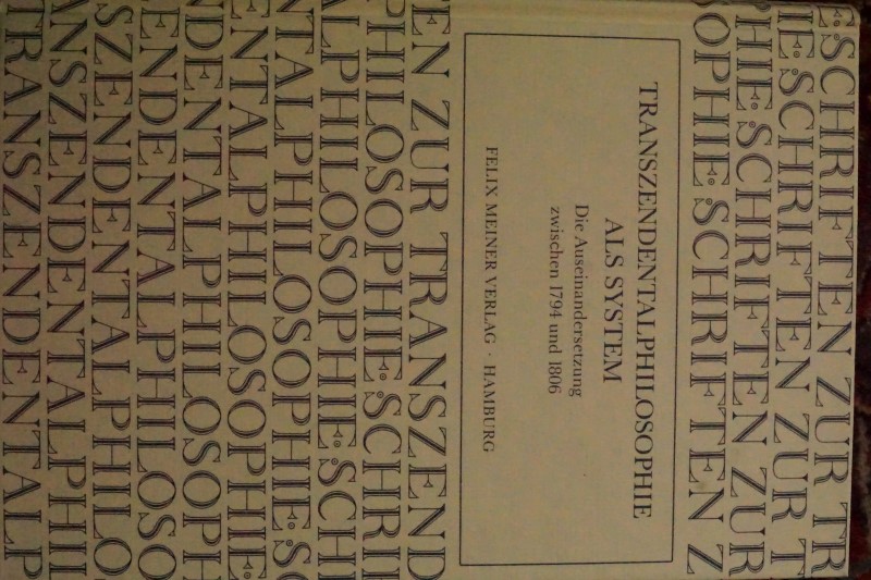 Tranzendentalphilosophie Als System