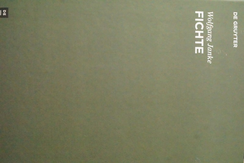 Fichte - Sein und reflexion - grundlagen der kritischen vernunft
