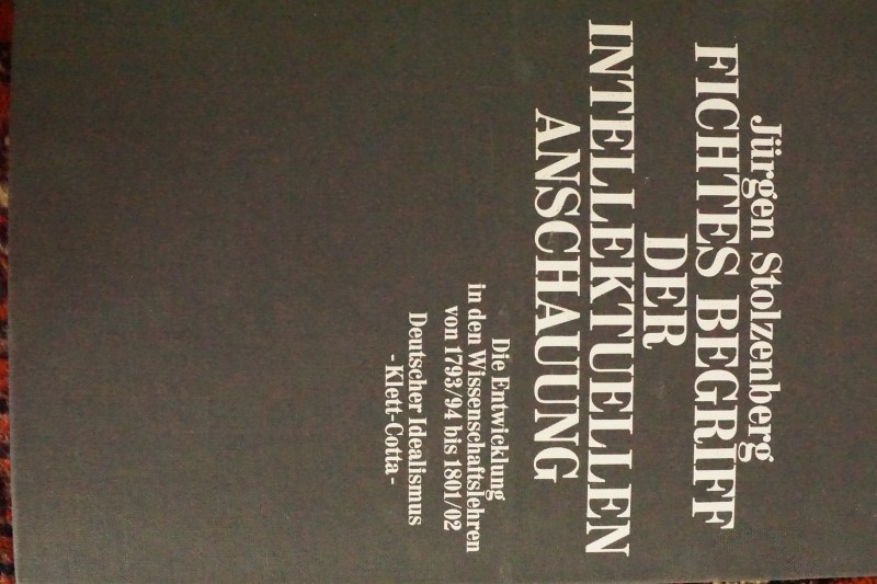 Fichtes Begriff der Intelektuellen Anschauung