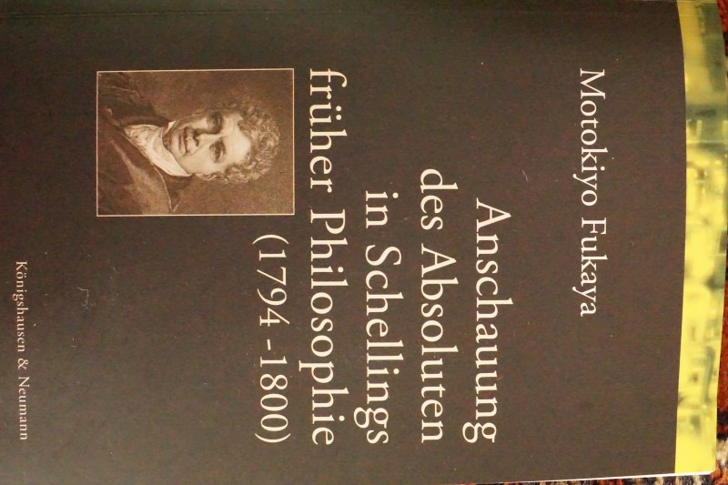 Anschauung der Absoluten in Schellings Früher Philosophie (1794-1800)