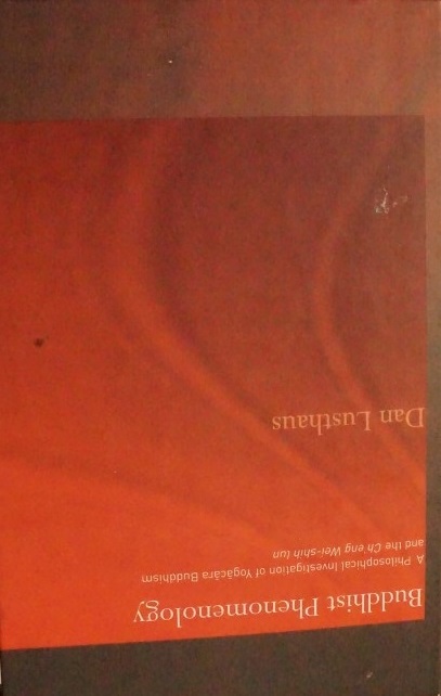 Buddhist Phenomenology 