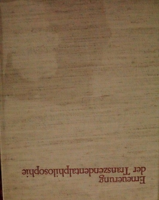 Erneuerung der Tranzendentalphilosophie - im anschluss an Kant und Fichte