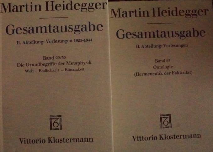 Gesamtausgabe II Abteilung: Vorlesungen - Band 65 Ontologie