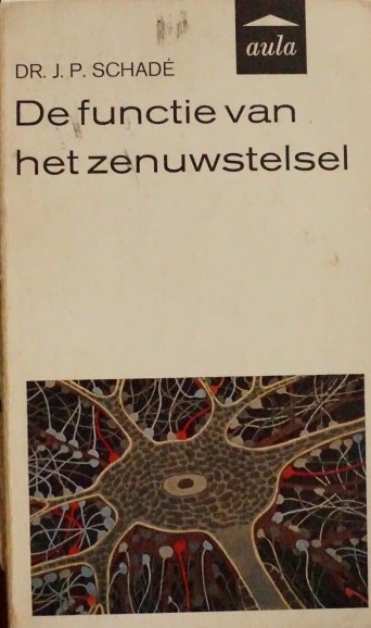 De functie van het zenuwstelsel