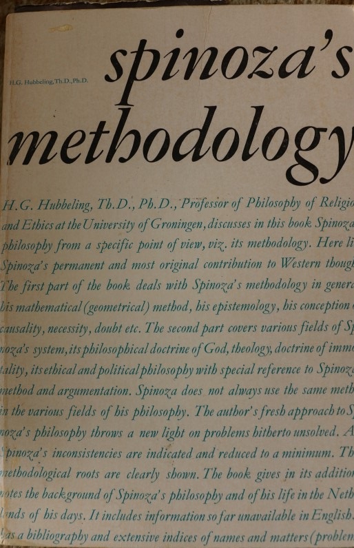 Spinoza's Methodology
