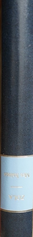 Mes Haines / Mon Salon(1866)