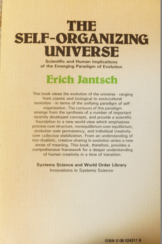 The Self-Organizing Universe