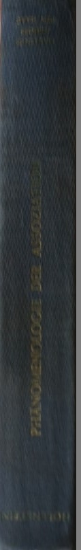 Phänomenologie der Assoziation