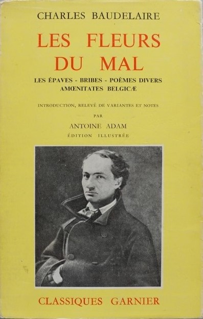 Les Fleurs du Mal