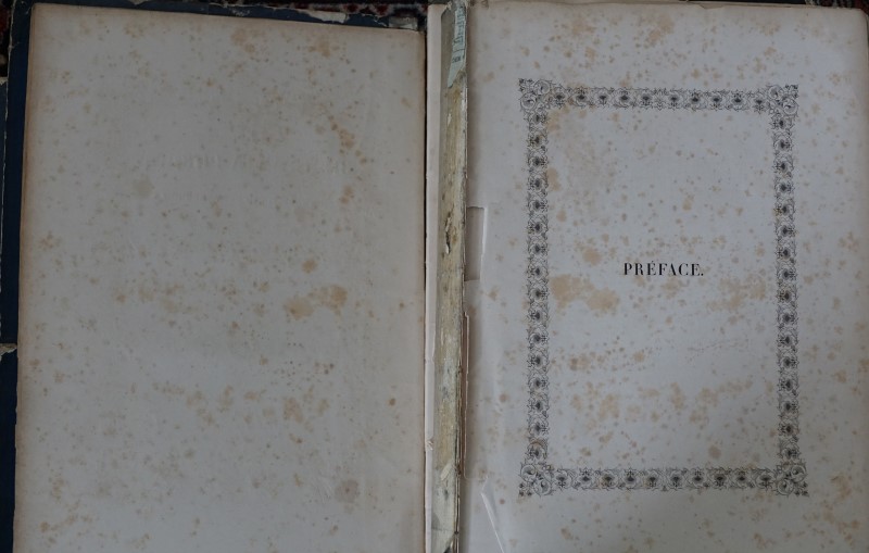 Le BHÂGAVATA PURÂNA ou Histoire Poétique de Krichna