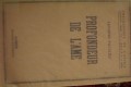 DSC00765.jpg