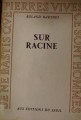 DSC01675.jpg
