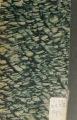 DSC02837.jpg
