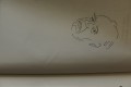 DSC04678.jpg