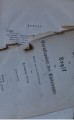 DSC05361.jpg