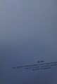DSC06662.jpg