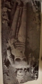 DSC01856.jpg