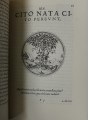 DSC03819.jpg
