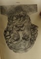DSC04205.jpg